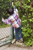 Child Opening Gate Stock Image Child Opening Gate Stock Image