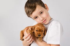 Child pet friendship concept - Portret of little boy with red puppy on white background Royalty Free Stock Images Child pet friendship concept - Portret of little boy with red puppy on white background Royalty Free Stock Images