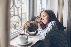 Child relaxing with a cat on a window sill stock photos Child relaxing with a cat on a window sill stock photos