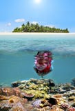 Child snorkelling dive in tropical island resort Stock Photos Child snorkelling dive in tropical island resort Stock Photos
