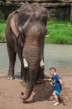Child traveler feeds the elephant. Chiangmai, Thailand - July 22, 2014:child traveler feeds the elephant in the elephant Elephant Nature Reserve Park in stock photo Child traveler feeds the elephant. Chiangmai, Thailand - July 22, 2014:child traveler feeds the elephant in the elephant Elephant Nature Reserve Park in stock photo