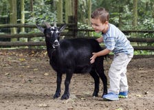Child With A Goat Stock Photography Child With A Goat Stock Photography