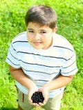 Child With Blackberry In Hands Royalty Free Stock Photo