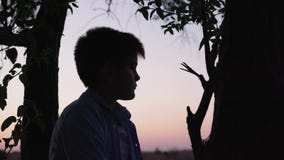 Childhood, boy sitting on tree and looking at sky and sunset, silhouette