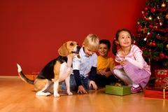 Children And Dog Sitting By Christmas Tree Royalty Free Stock Image