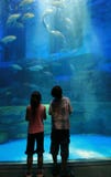 Children In Aquarium Stock Photography