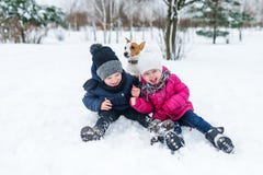 Children playing with Jack Russell terrier puppy in the park in the winter in the snow stock photo Children playing with Jack Russell terrier puppy in the park in the winter in the snow stock photo