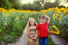 Children Walk Near A Field Of Sunflowers .The Concept Of Children& X27;s Friendship Stock Photo
