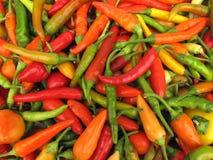 Chili Peppers Paprika Stock Photography Chili Peppers Paprika Stock Photography