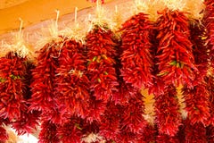chilies Mexico nowy
