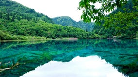 China sicuan del ¼ del ï del parque nacional de Jiuzhaigou foto de archivo libre de regalías China sicuan del ¼ del ï del parque nacional de Jiuzhaigou foto de archivo libre de regalías