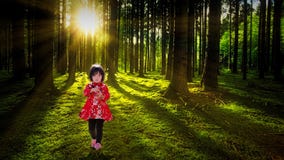Little girl exploring summer forest