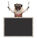 Chiot de sourire doux de roquet tenant des couverts pour manger le repas et porter le tablier en cuir, avec le signe vide de tabl images stock Chiot de sourire doux de roquet tenant des couverts pour manger le repas et porter le tablier en cuir, avec le signe vide de tabl images stock