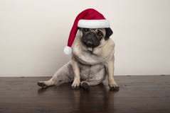 Chiot mignon de roquet de Noël utilisant le chapeau du père noël, s'asseyant sur le plancher en bois rustique Image libre de droits Chiot mignon de roquet de Noël utilisant le chapeau du père noël, s'asseyant sur le plancher en bois rustique Image libre de droits
