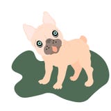 Chiots beiges adorables de roquet de Web sur un fond Ensemble d'humeur, copie tirée par la main de style Vecteur illustration de vecteur Chiots beiges adorables de roquet de Web sur un fond Ensemble d'humeur, copie tirée par la main de style Vecteur illustration de vecteur
