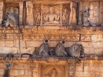 Chittorgarh Citadel Ruins In Rajasthan, India Stock Photo Chittorgarh Citadel Ruins In Rajasthan, India Stock Photo