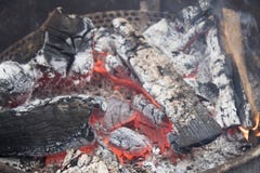 Chiuda su di un fuoco del campo immagini stock libere da diritti Chiuda su di un fuoco del campo immagini stock libere da diritti