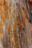 Chiuda sul vecchio fondo di legno di struttura della tavola fotografia stock Chiuda sul vecchio fondo di legno di struttura della tavola fotografia stock