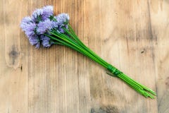 chives fotografia de stock chives fotografia de stock