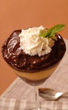Chocolate And Vanilla Puddings Stock Image Chocolate And Vanilla Puddings Stock Image