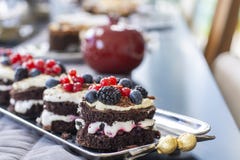 Fresh chocolate cake with mix berries stock image Fresh chocolate cake with mix berries stock image