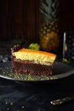 Chocolate Cake With Orange And Pineapple Topping Royalty Free Stock Images Chocolate Cake With Orange And Pineapple Topping Royalty Free Stock Images