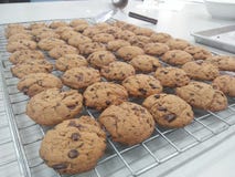 Chocolate chip Cookies stock images Chocolate chip Cookies stock images