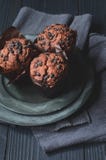 Chocolate Chip Muffins foto de archivo Chocolate Chip Muffins foto de archivo