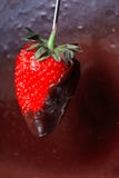 Chocolate-covered strawberries stock image Chocolate-covered strawberries stock image