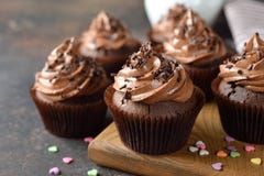 Chocolate Cupcakes Royalty Free Stock Images Chocolate Cupcakes Royalty Free Stock Images