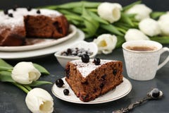 Chocolate pie with black currant on a dark background stock photos Chocolate pie with black currant on a dark background stock photos