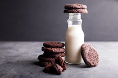 Choklade kakor med en flaska av mjölkar royaltyfria bilder Choklade kakor med en flaska av mjölkar royaltyfria bilder