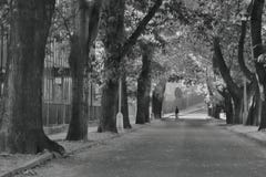 2016/09/24 - Chomutov, Czech republic - chestnut alley in the street Premyslova in Chomutov city with a woman crossing the street. In the background and the Royalty Free Stock Photography 2016/09/24 - Chomutov, Czech republic - chestnut alley in the street Premyslova in Chomutov city with a woman crossing the street. In the background and the Royalty Free Stock Photography
