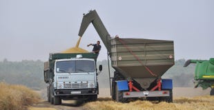 Unloading grain from bunker-reloader on truck stock images Unloading grain from bunker-reloader on truck stock images