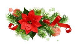 Christmas Arrangement With Poinsettia Flower, Pine Twigs, Red Cu Royalty Free Stock Photo Christmas Arrangement With Poinsettia Flower, Pine Twigs, Red Cu Royalty Free Stock Photo