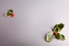 Christmas Background Stock Photography Christmas Background Stock Photography