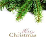 Christmas Frame With Natural Fir Tree Branch Isolated On White Stock Photos