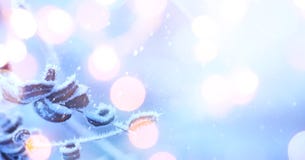 Art Blue Christmas; Christmas holidays light background; stock photos Art Blue Christmas; Christmas holidays light background; stock photos