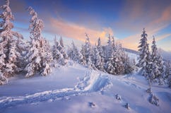 Christmas landscape Stock Image Christmas landscape Stock Image