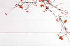 Christmas, New Year Or Autumn Background, Flat Lay Composition Of Christmas Natural Ornaments And Fir Branches, Berries, Rose Hips Stock Images Christmas, New Year Or Autumn Background, Flat Lay Composition Of Christmas Natural Ornaments And Fir Branches, Berries, Rose Hips Stock Images