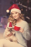 Christmas party, winter holidays woman with cat. New year girl. royalty free stock photos Christmas party, winter holidays woman with cat. New year girl. royalty free stock photos