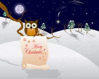 Christmas Star And Owl. Stock Images
