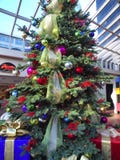 Christmas Tree. Stock Image