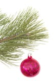 Christmas Tree And Ball Royalty Free Stock Image