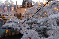 Christmas tree branches with fairy lights by dusk royalty free stock photography Christmas tree branches with fairy lights by dusk royalty free stock photography