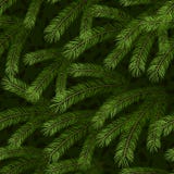 Christmas tree fir branch seamless background