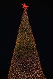Christmas tree with lights stock images Christmas tree with lights stock images