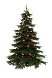 Christmas tree with red balls isolated on white