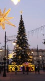 Christmas Tree in Piotrkowska Street, Wednesday, December 13, 2017 stock images Christmas Tree in Piotrkowska Street, Wednesday, December 13, 2017 stock images