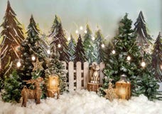 Christmas, winter backdrop for familly portraits and thematic photoshoots.